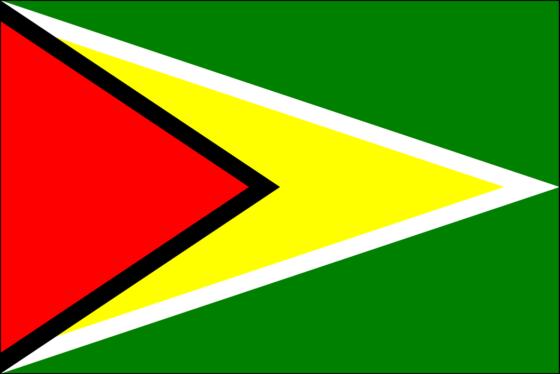 Flag of Guyana - Co-operative Republic of Guyana - All Flags ORG